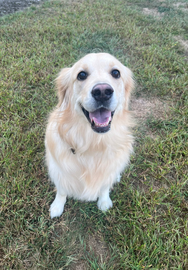 Riley